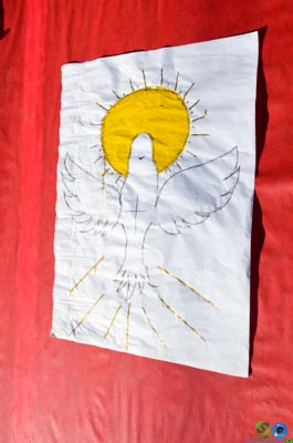 DSC_6533.jpg