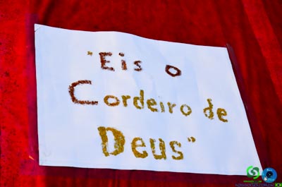DSC_7409.jpg