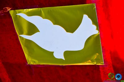 DSC_7415.jpg