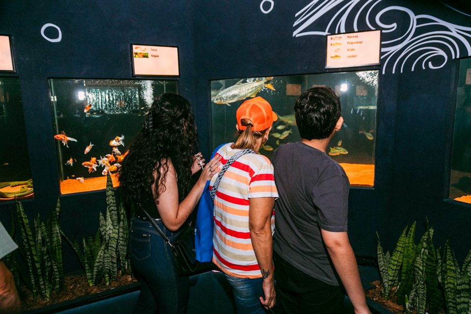 Aquario-210.jpg