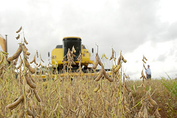 Paraná fecha safra verão com 22 milhões de toneladas de grãos