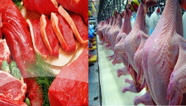 Preço das carnes de aves e suínos pode subir