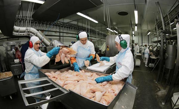BOM NEGÓCIO: Exportação de frango do PR cresce quatro vezes acima da brasileira