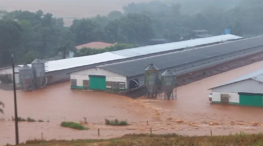 Chuva atinge áreas rurais e aviários ficam debaixo d'água no Paraná