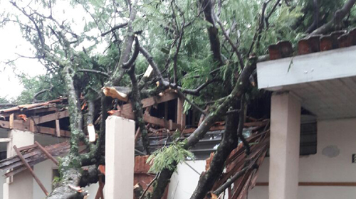 Galhos de árvore caem com chuva e destroem salas de aula de colégio em Arapongas