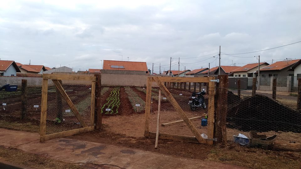Projeto de horta comunitária tem resultados positivos em Arapongas