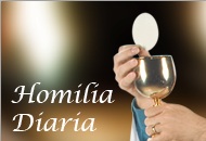 Homilia Diária:  01/set/2014 O Espírito Santo conduz nossos passos e ilumina nossa vida 