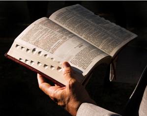 HOMILIA DIÁRIA: Na Sagrada Escritura, encontramos o Cristo