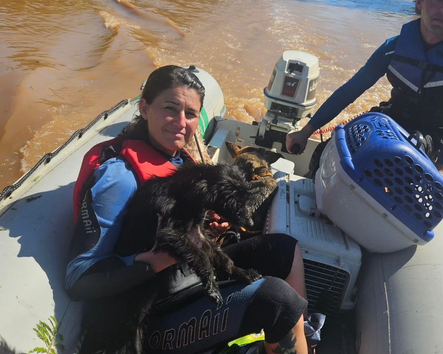 Doações para o Rio Grande do Sul: grupos atuam no resgate de animais afetados pelas chuvas; veja como ajudar