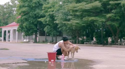 Tailandês dá banhos em cães de rua por pura bondade