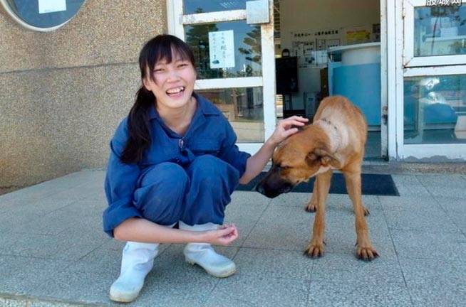 Veterinária comete suicídio após ser obrigada a sacrificar 700 cães 