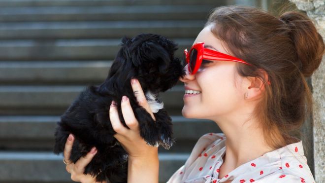 Cães imitam a personalidade dos donos, diz pesquisa