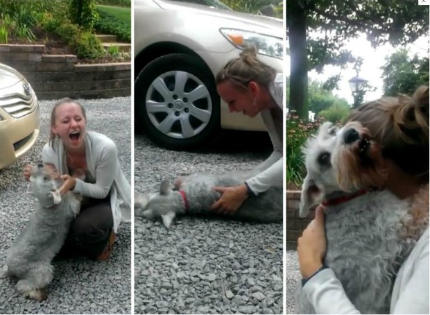 Jovem reencontra cadela após dois anos e animal desmaia de alegria; assista ao vídeo