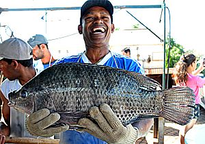 Agricultura inicia 24ª Feira do Peixe Vivo nesta quarta-feira (12)