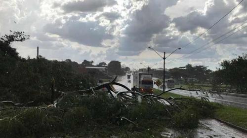 CHUVAS E VENTOS FORTES Temporal causa estragos em Londrina na tarde desta quinta