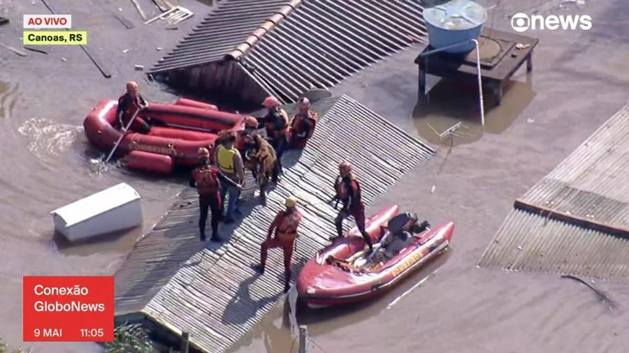 Égua é resgatada por bombeiros de telhado no Rio Grande do Sul