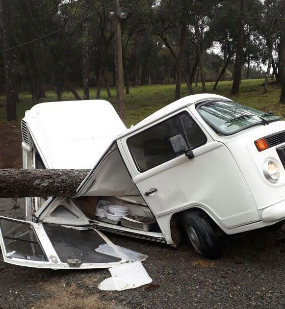 Árvore cai e racha carro ao meio durante tempestade
