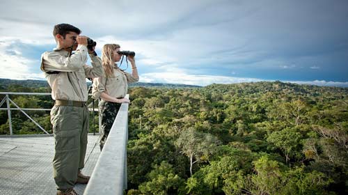 ESPÉCIES EXCLUSIVAS: Turismo de observação de aves ganha adeptos e atrai visitantes de todo o mundo