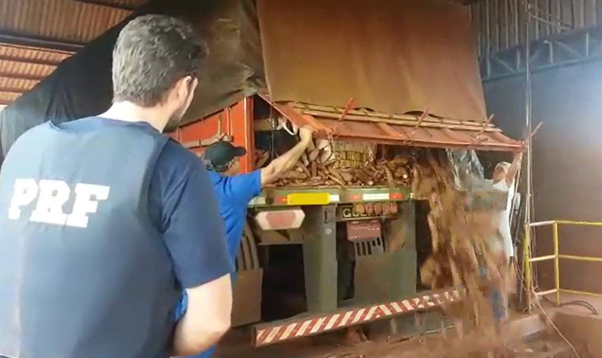 PRF descobre 1,5 tonelada de maconha escondida sob carga de mandioca