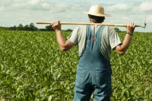 Funrural pode causar impacto de R$ 40 bilhões/ano na agropecuária imagens/thumbs/03-05-2017_funrural.jpg