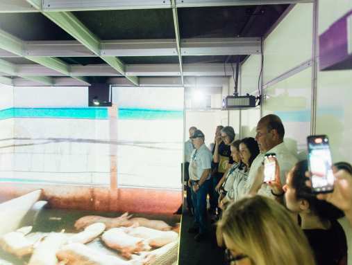 Visitante da ExpoLondrina pode conhecer como transformar dejetos de animais em biogás