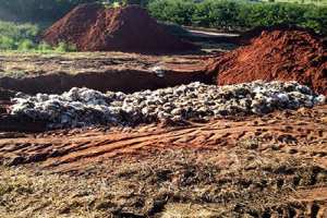 Cooperativa descarta 140 mil litros de leite em Londrina; granja perde 1,5 mil frangos imagens/thumbs/27-02-2015_Descarte_aves.jpg
