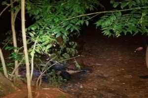 POLICIA ENCONTRA CORPO EM CHAMAS EM BANDEIRANTES imagens/thumbs/27-09-2016_corpo_em_chamas2.jpg