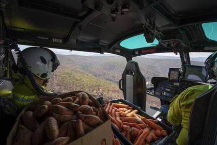 Helicóptero abastecido com vegetais sobrevoa região da Austrália