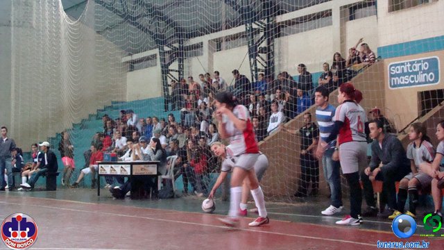 DSC08482.jpg