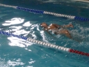 DSC02478_640x480.jpg