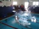 DSC02490_640x480.jpg