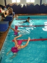 DSC02716_360x480.jpg