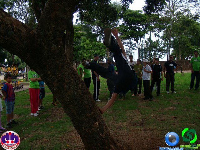 DSC04436.jpg
