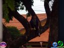 DSC04252.jpg