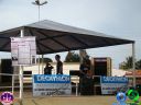 DSC04274.jpg