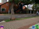 DSC04404.jpg