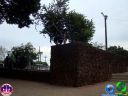 DSC04519.jpg