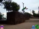 DSC04551.jpg