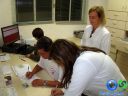 Filename=DSC05568.jpg
Filesize=73KiB
Dimensions=640x480
Date added=May 24, 2012 DSC05568.jpg