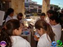 Filename=DSC06219.jpg
Filesize=78KiB
Dimensions=640x480
Date added=May 26, 2012 DSC06219.jpg
