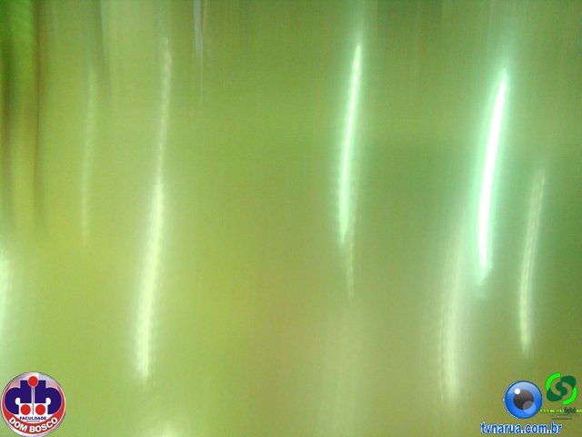 DSC07553.jpg