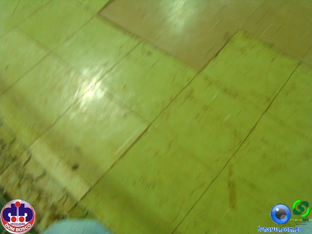 DSC07554.jpg
