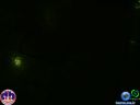 DSC07584.jpg