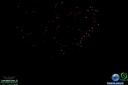 DSC00959.jpg