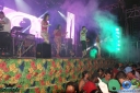 DSC01130.jpg