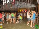 DSC00684.jpg