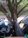 DSC08226.jpg