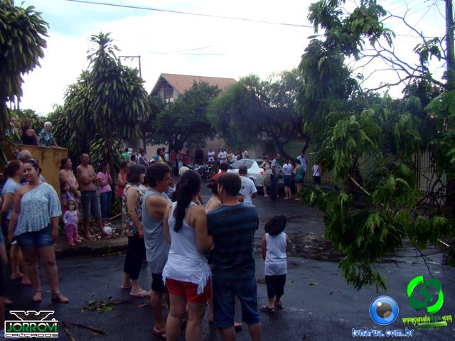 DSC08395.jpg