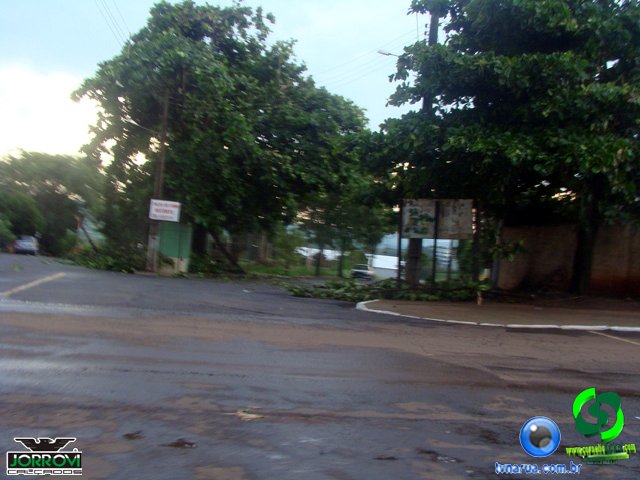 DSC08418.jpg