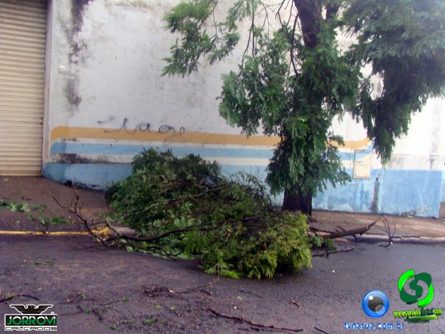 DSC08427.jpg